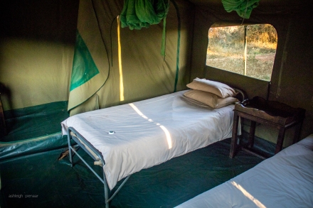 Each tent contains two single beds (and a porta-potty behind a curtain).